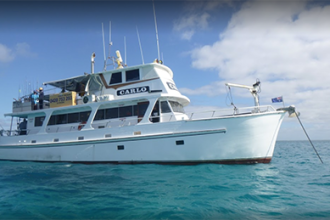 Photo of Carlo Fishing Charters Photo of Carlo Fishing Charters