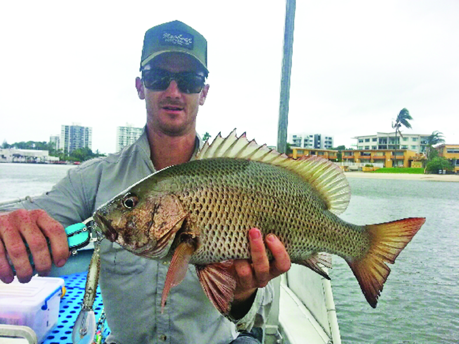 Brad's Fish Tales Super Bait Cut Freshwater Fishing Plug & Mini Plug, 4