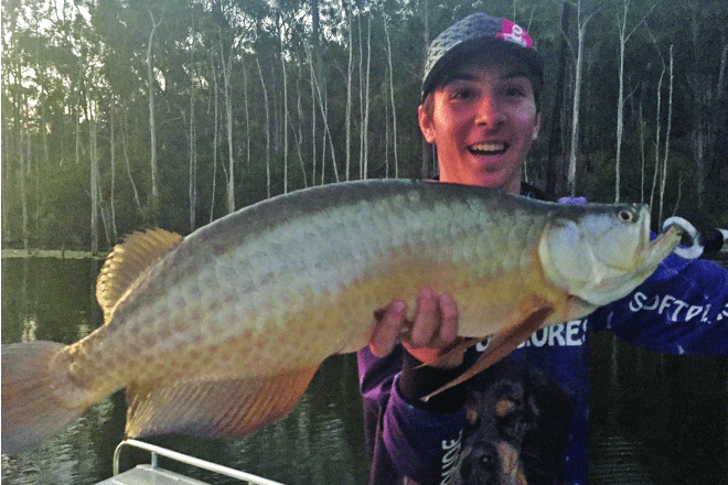 How to Catch Saratoga and Bass on Lake Borumba - BNB Fishing Mag