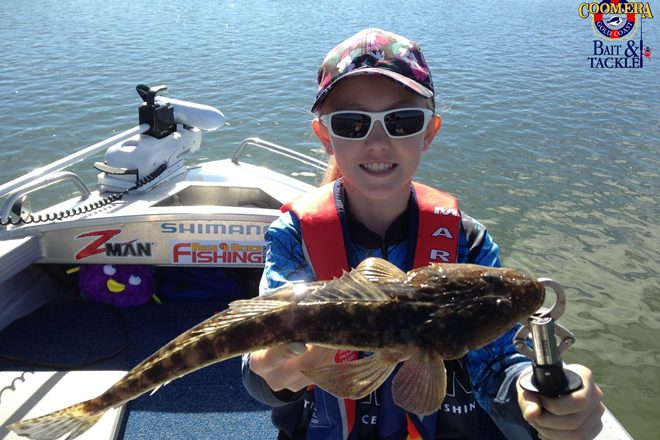 Best Tips for Flathead, Cobia, and Bream
