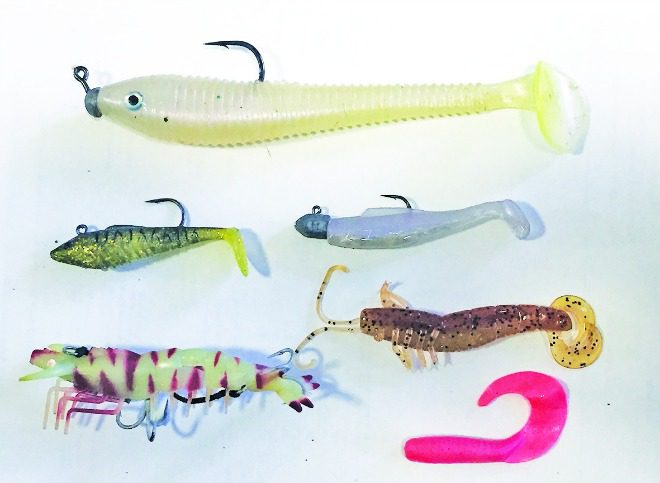Gearing up for summer species: how to target with lures - BNB Fishing