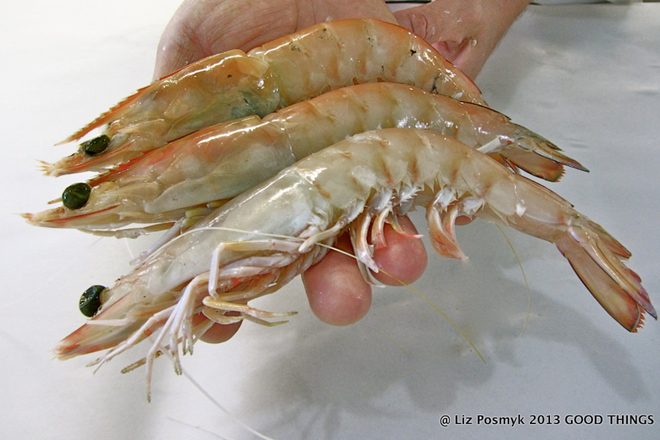 raw prawn imports suspended