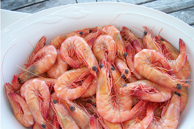 review of import conditions for prawns