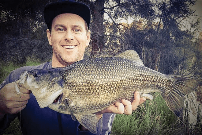 australian bass stocked nsw