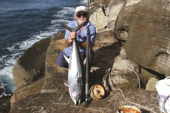 land-based longtail tuna iluka breakwall