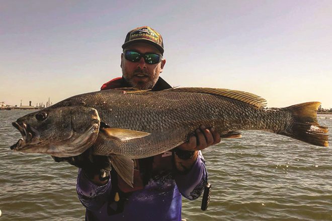 Jewies, Murray cod and more for NSW anglers Bush 'n Beach Fishing