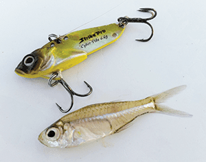 How to choose the right lures for fishing the Gold Coast