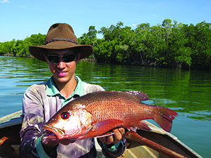 gulf mangrove jack