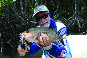 gulf mangrove jack