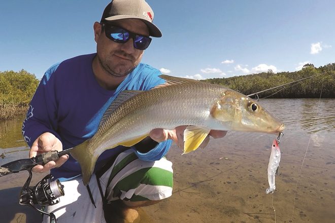 whiting on surface lure