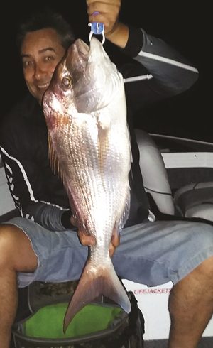 big snapper moreton bay