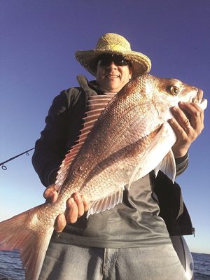 big snapper moreton bay