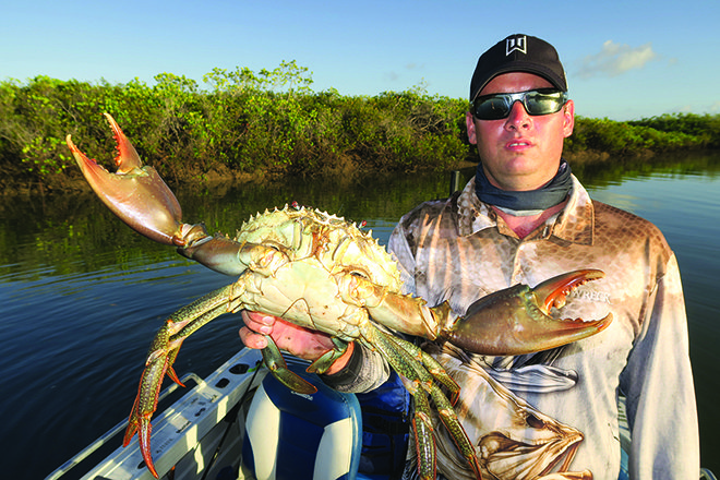 March mud crab madness