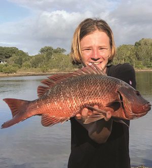 fishing autumn noosa