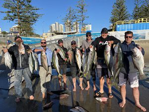 winter westerlies gold coast