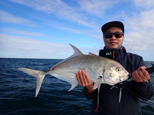 Trevally