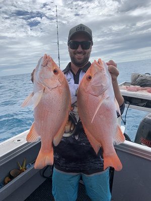 Very good Snapper fishing up at the Island this morning. Caught  approximately 15 in total and kept 7 between 48cm and 60cm. It was hard  t