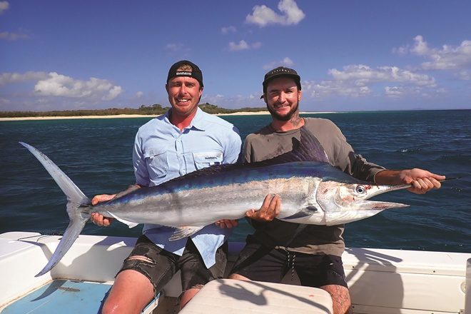 Basking in bait ball action - Bush 'n Beach Fishing Magazine