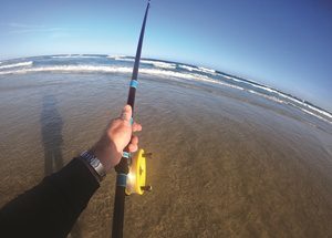 beach rod in Queensland, Fishing