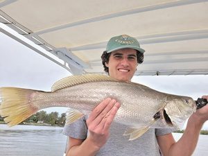 Fish NSW on Instagram: Gez there is some slob jewfish being caught  recently. @jack_hammond_fishing with a nice one while throwing vibes  around. Giving his shimano sustain drag a bit of a run