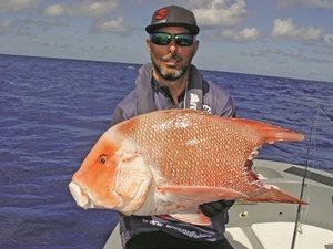 CHASING HUGE RED EMPEROR IN CENTRAL QUEENSLAND