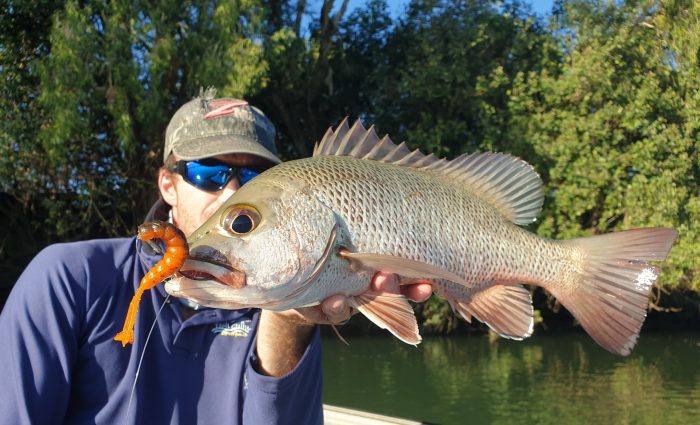 GOAT fishing with ZMan - Bush 'n Beach Fishing Magazine