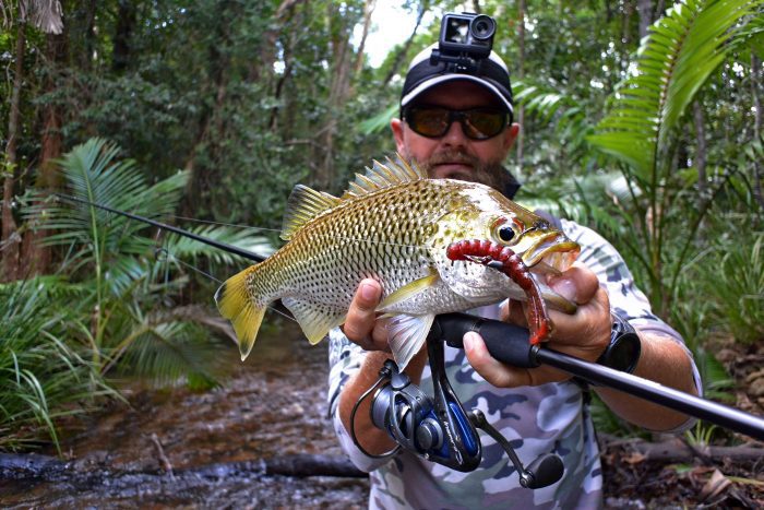 ZMan 3 Baby GOAT Soft Plastic - How to Rig and Fish - Test Drive