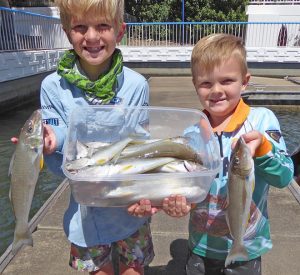 Gold Coast Coomera fishing