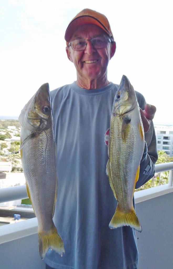 Gold Coast Coomera fishing