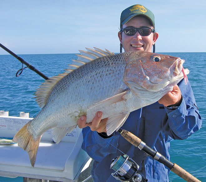 Reef Cape York