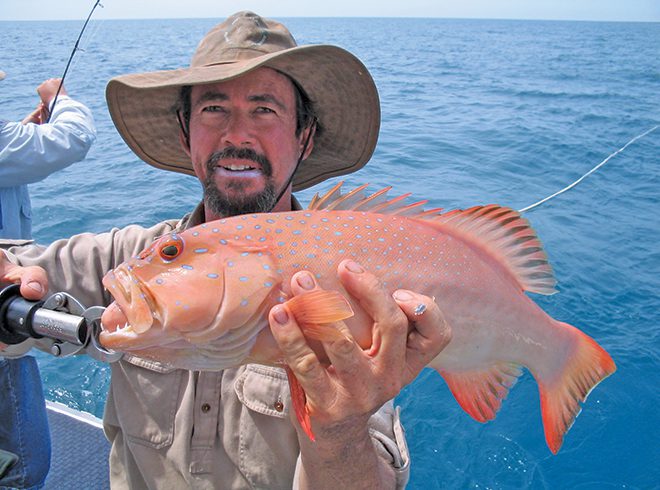 Reef Cape York