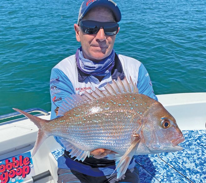 scoring fish moreton bay