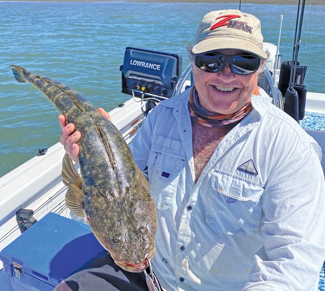 scoring fish moreton bay