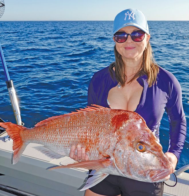 snapper shallow reefs