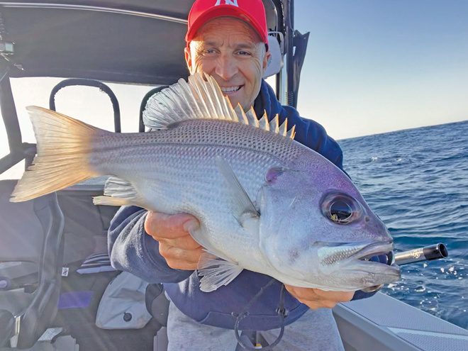 snapper shallow reefs