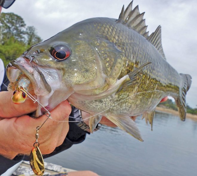 Bassin’ blade baits