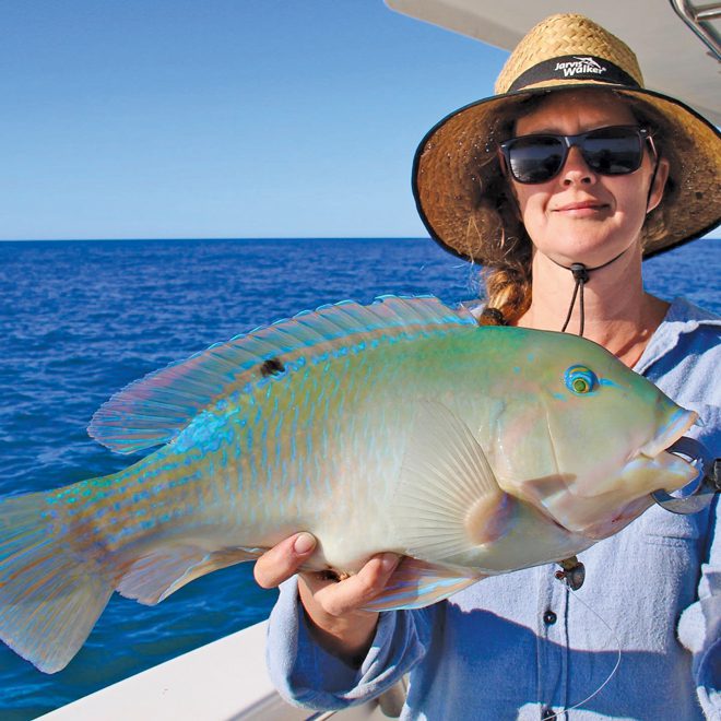 Moreton Bay tuskies