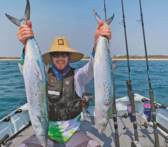 Spinning mackerel tuna