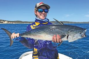 Spinning mackerel tuna
