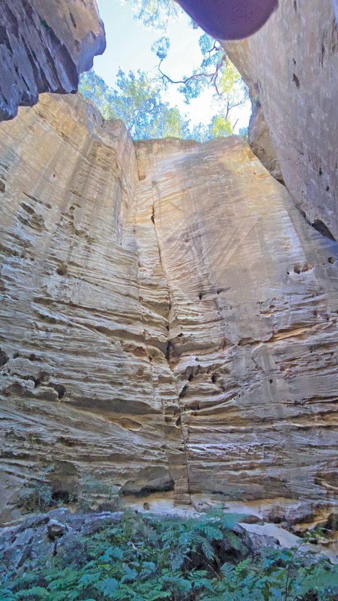 Carnarvon Gorge