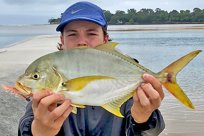 Sunshine Coast Noosa - weekly report - Bush 'n Beach Fishing Magazine