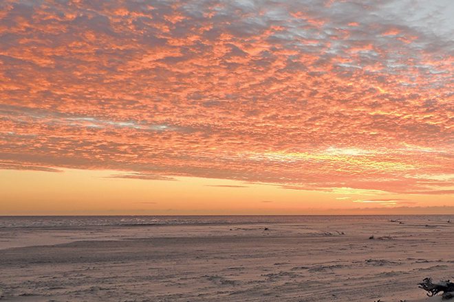 Exploring Inskip Point