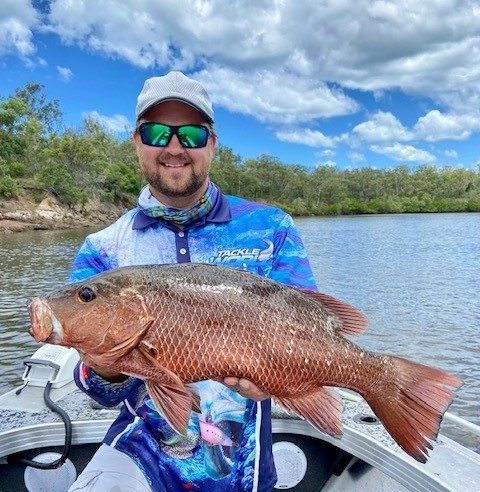 mangrove jack