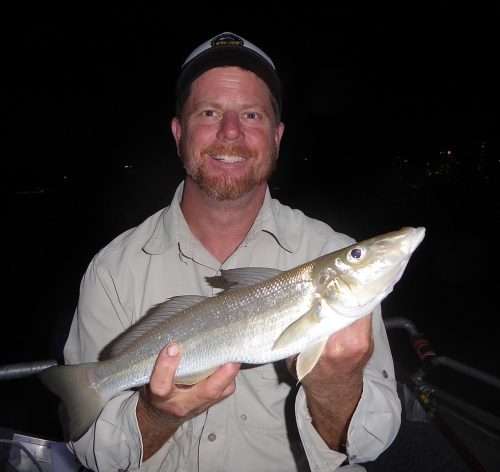 Elbow slapper whiting