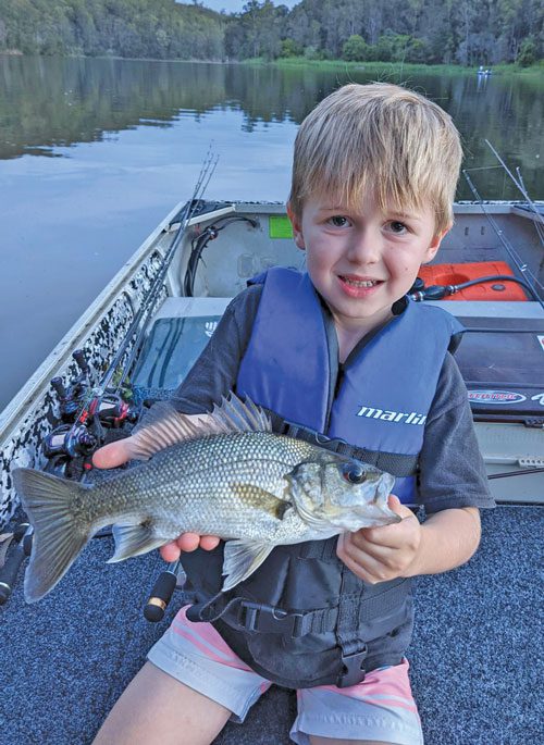 catching flathead Ballina