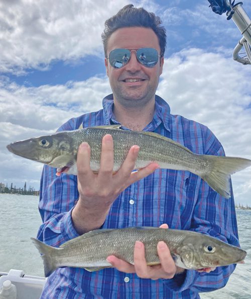 Broadwater whiting tips