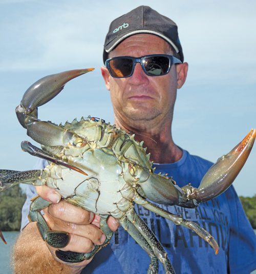 mangrove jack land-based