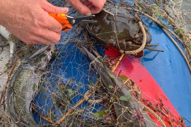 100m net seized from Caboolture River - Bush 'n Beach Fishing Magazine