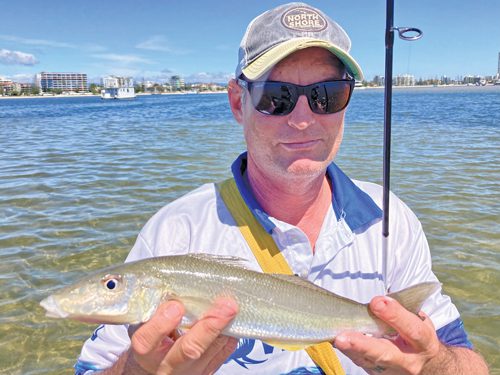 Broadwater whiting tips