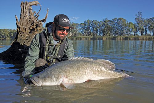 Having a look at lines and leaders - Bush 'n Beach Fishing Magazine